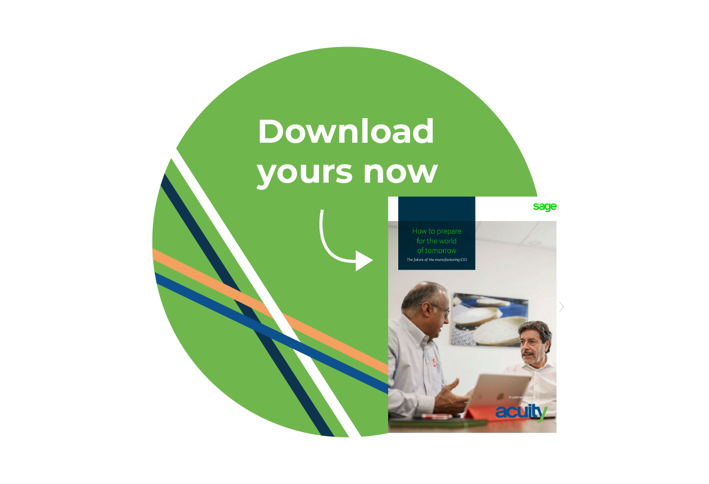 Download your CIO manufacturing guide
