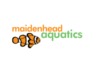 Maidenhead aquatics2